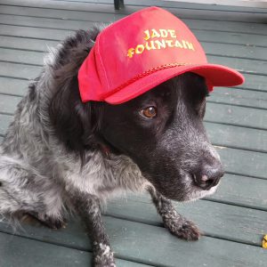 Dog wearing red baseball cap with stylized gold Jade Fountain logotype